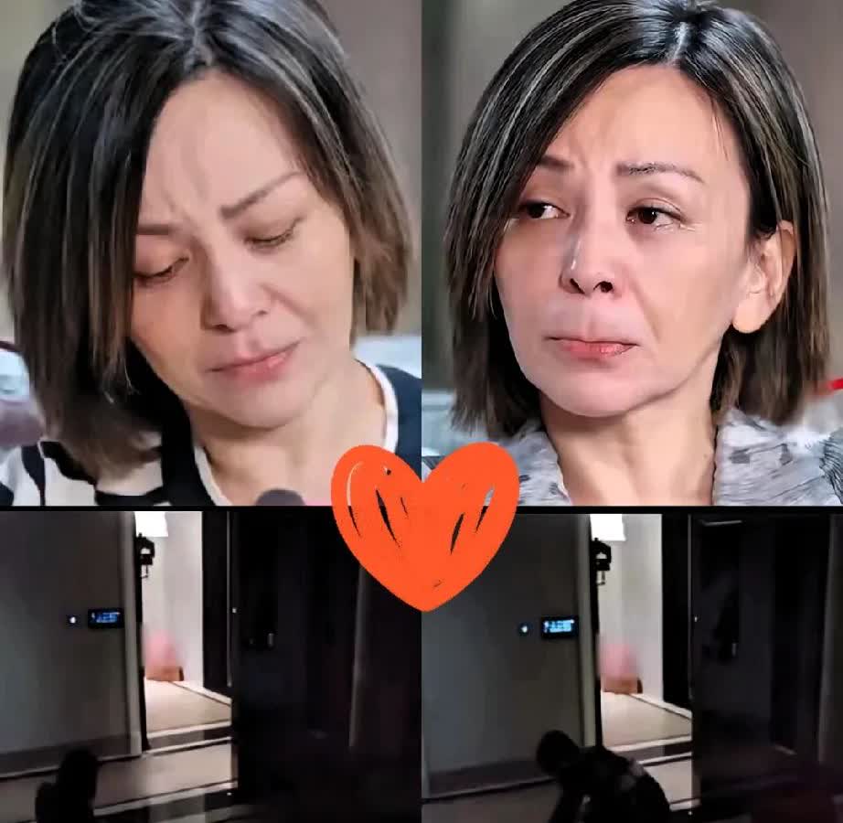 要我是王琳，
立马搬出500平的大别墅， 
女明星王琳上海500平带院别墅+