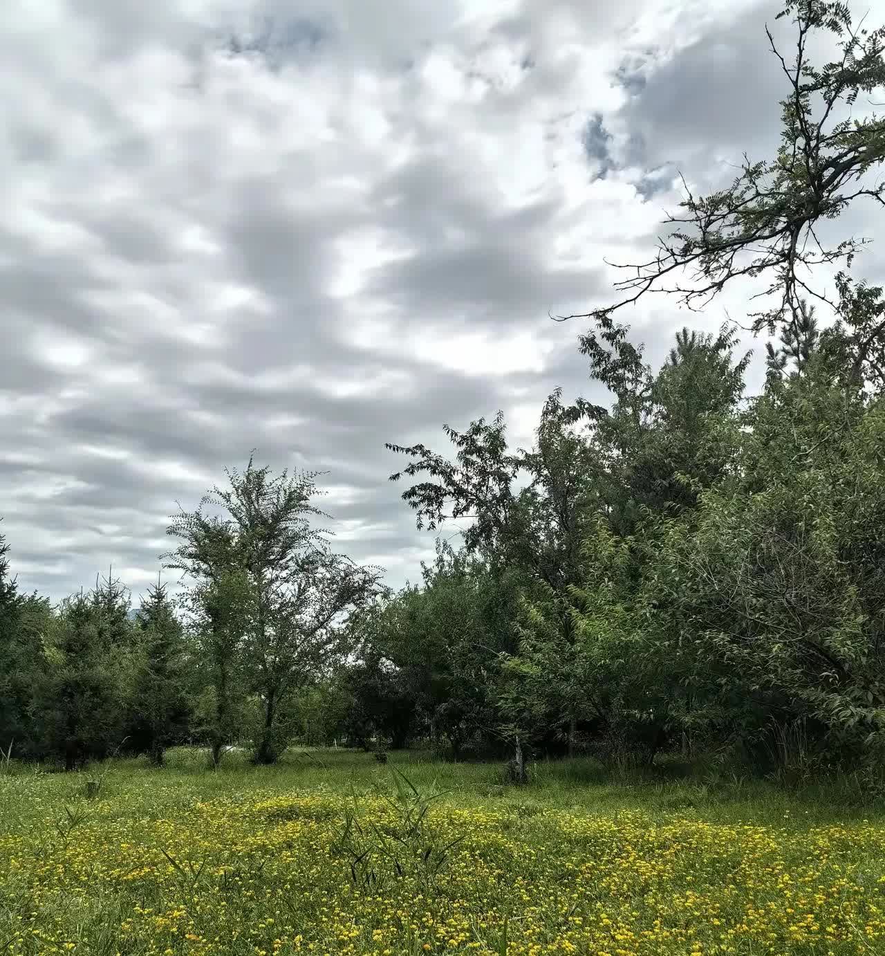 一男子在朋友家吃饭喝酒，期间突感身体不适，朋友立即开车送他去医院，半路男子情况加