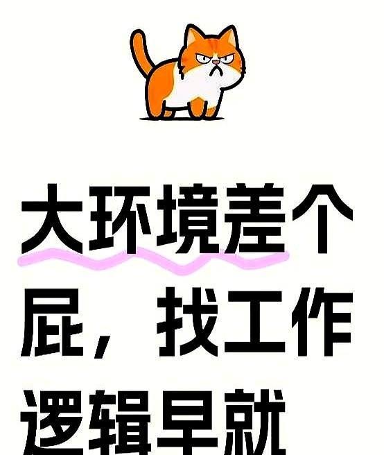 前天和大学室友撸串，他一句话点醒我：“你投300份简历没回音，因为80%的好工作