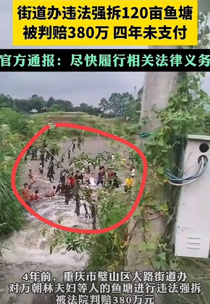 重庆强拆鱼塘最新后续，街道办回应，已与鱼塘夫妇协商达成一致，将会尽快赔偿！

此