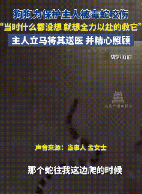 太有灵性了！9月22日报道，河北唐山，一女子正在休息时，狗狗突然狂叫不止，她起初