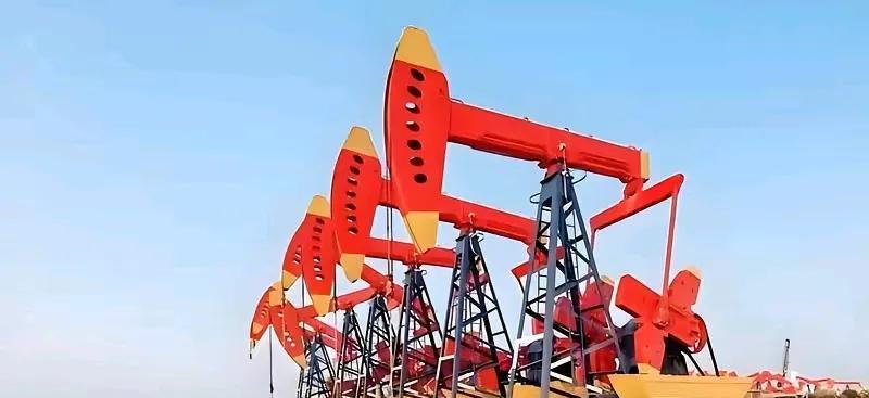 中国心寒了！最近很多巴基斯坦官员陆续拜访美国，原因是巴基斯坦和美国共同开发其石油