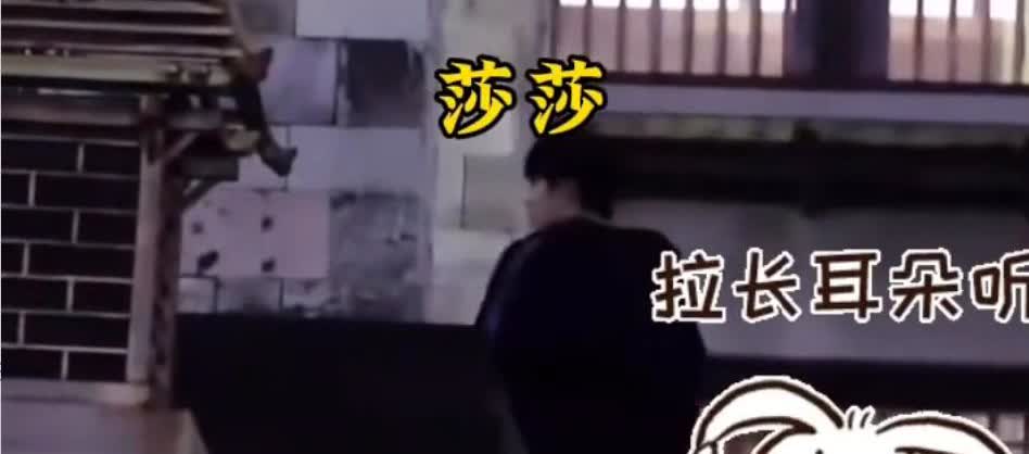 有人好奇，为啥吉吉文旅视频里突然冒句 “媳妇儿“？
河北文旅的镜头里又总出现“