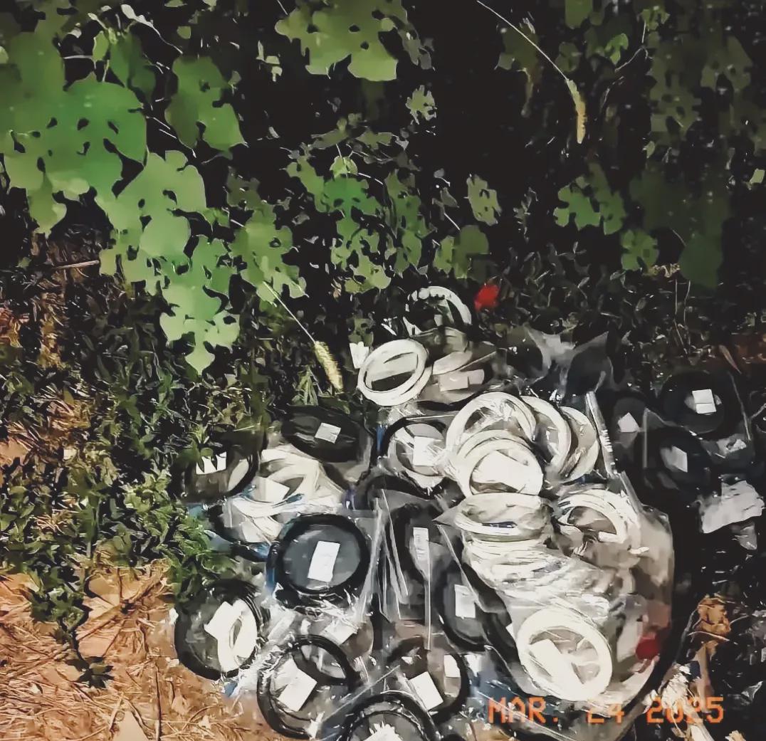 深夜，一位江苏男子在河边垂钓，因内急前往草丛方便，手电光束照亮几团漆黑物体。走近