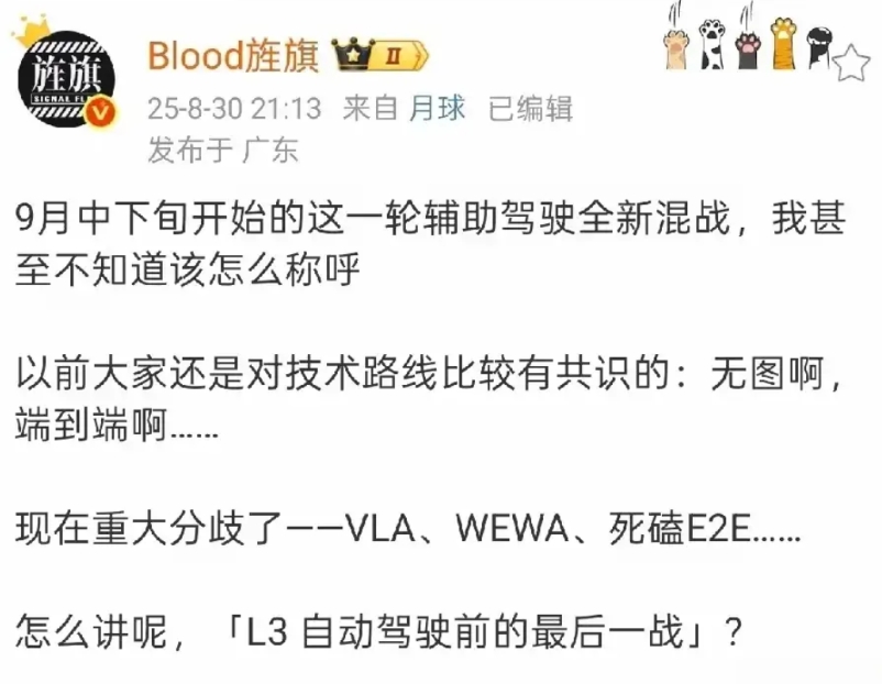 L3的方案还真是百花齐放百家争鸣，有押宝VLA（视觉、语言、动作）的，也有押宝W