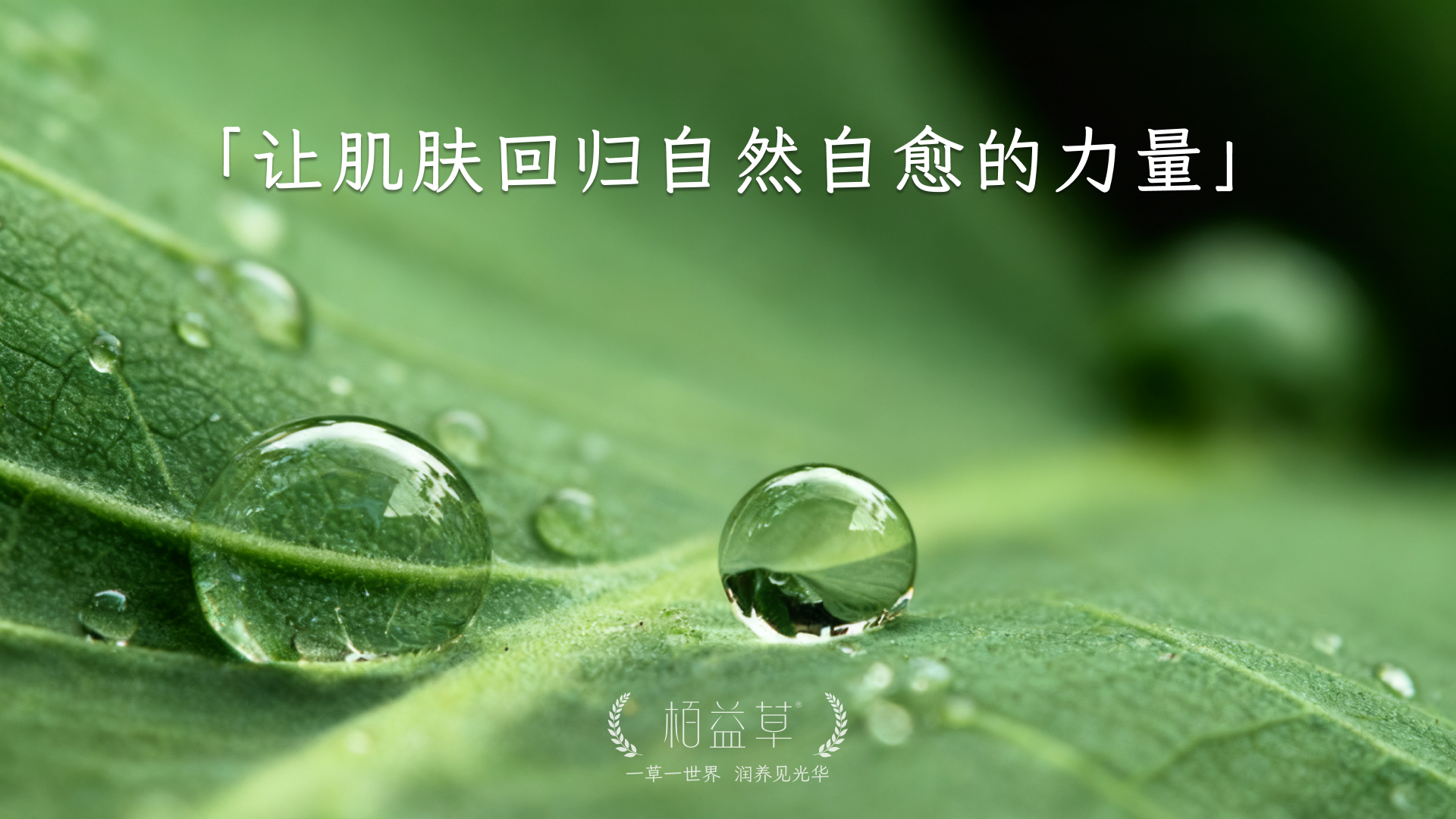 什么是自然疗愈护肤？