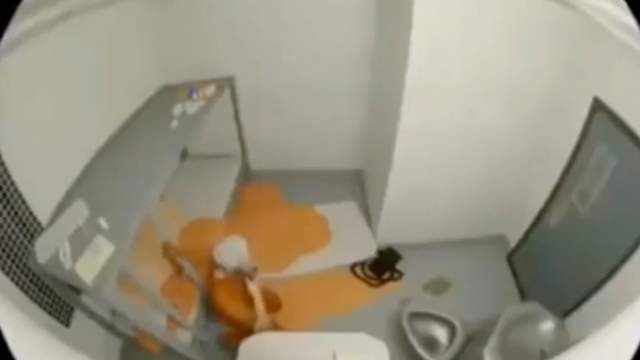 离谱！美国司法部误发爱泼斯坦自杀假视频，6年悬案再掀阴谋论狂潮