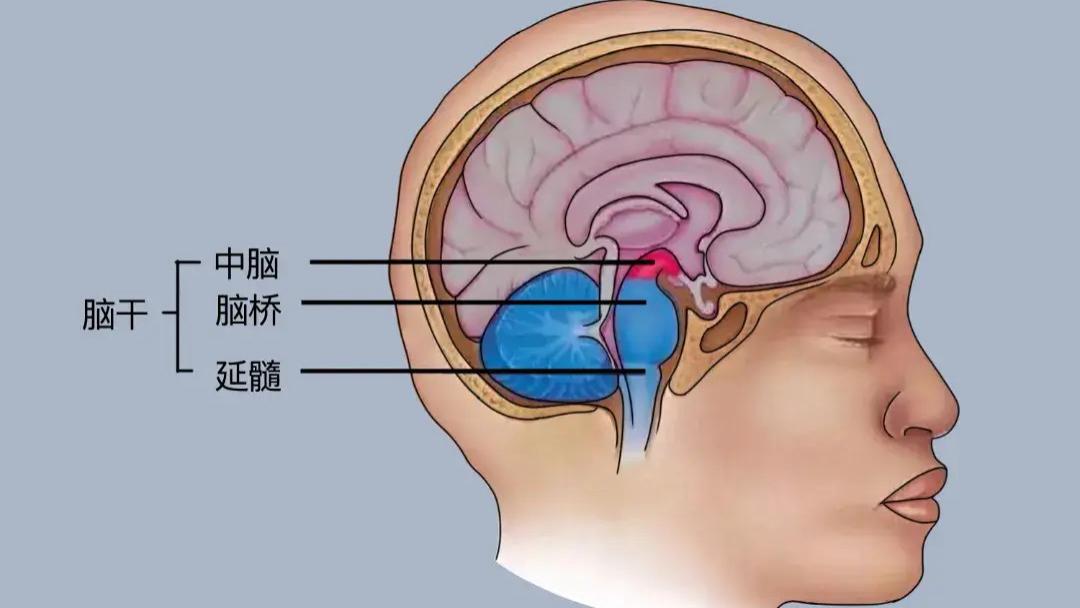 南天实录第174期：车辆突然失控撞向路边 因果关系还原事实真相
