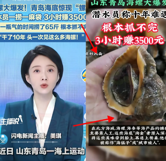 青岛海底这波“惊喜掉落”
也太给力了！潜水员樊继伟在17米深的海里作业，竟撞见了