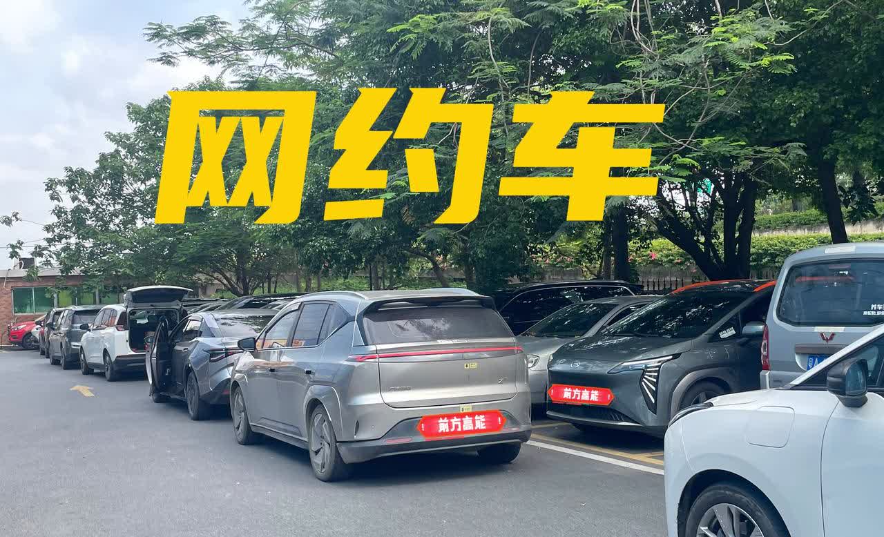 女子打电话到网约车平台投诉
说自己约的是顺风车
平台推送的是专职网约车
她