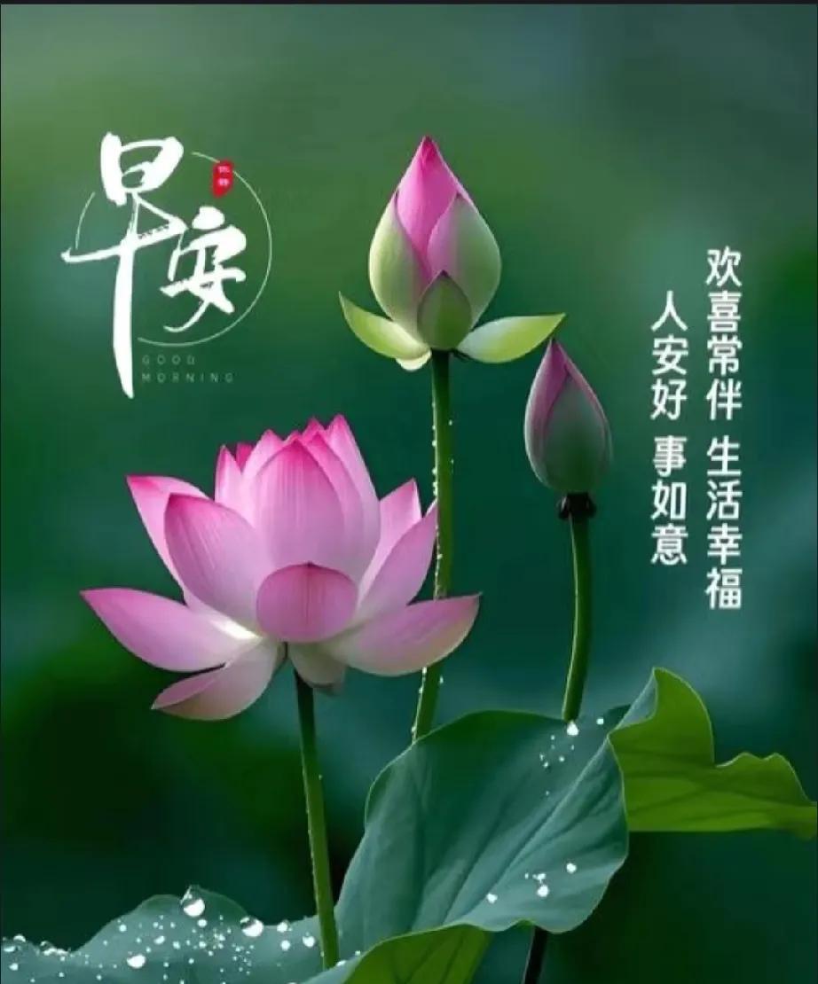 [玫瑰]早上好[玫瑰]
早安新的一天，
愿你的一天从轻松开始，
到满足结束，健康