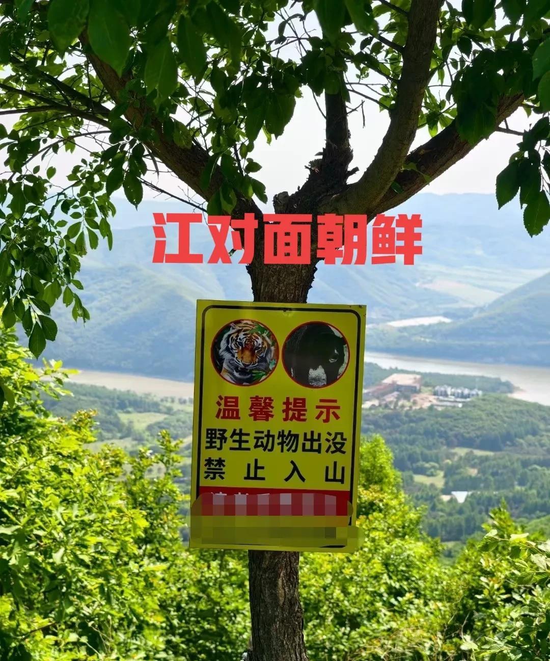 广州友问我，“先生看到过野生的虎熊没有？狼狍子野鸡很多么？什么时候去比较适合与此