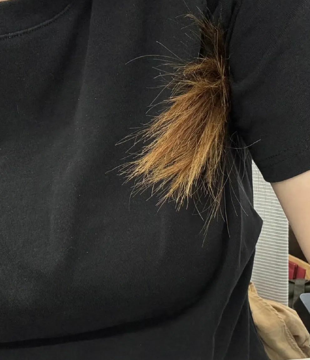 上班的精神状态有点癫