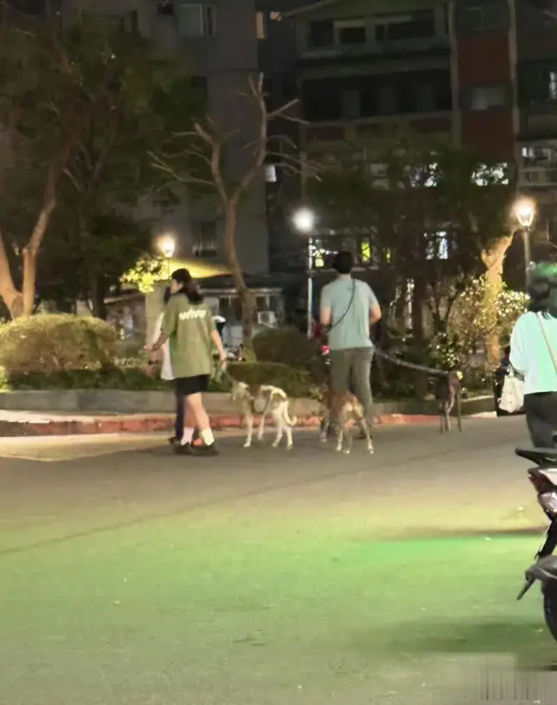 网友台北偶遇彭于晏与女生遛狗