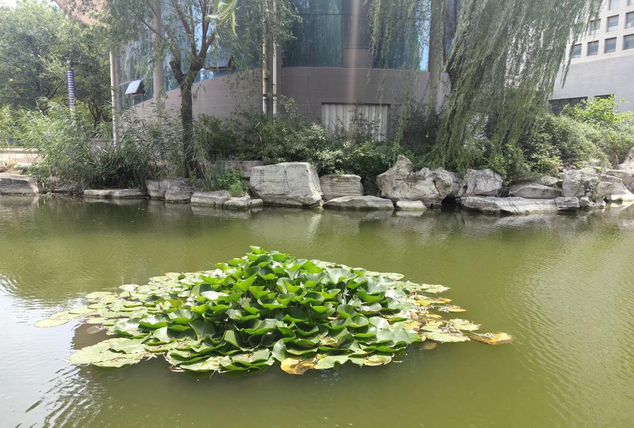 表姐三婚了，只是不知道这一次，这段婚姻又能维持多久。
表姐多次离婚，原因有两个：