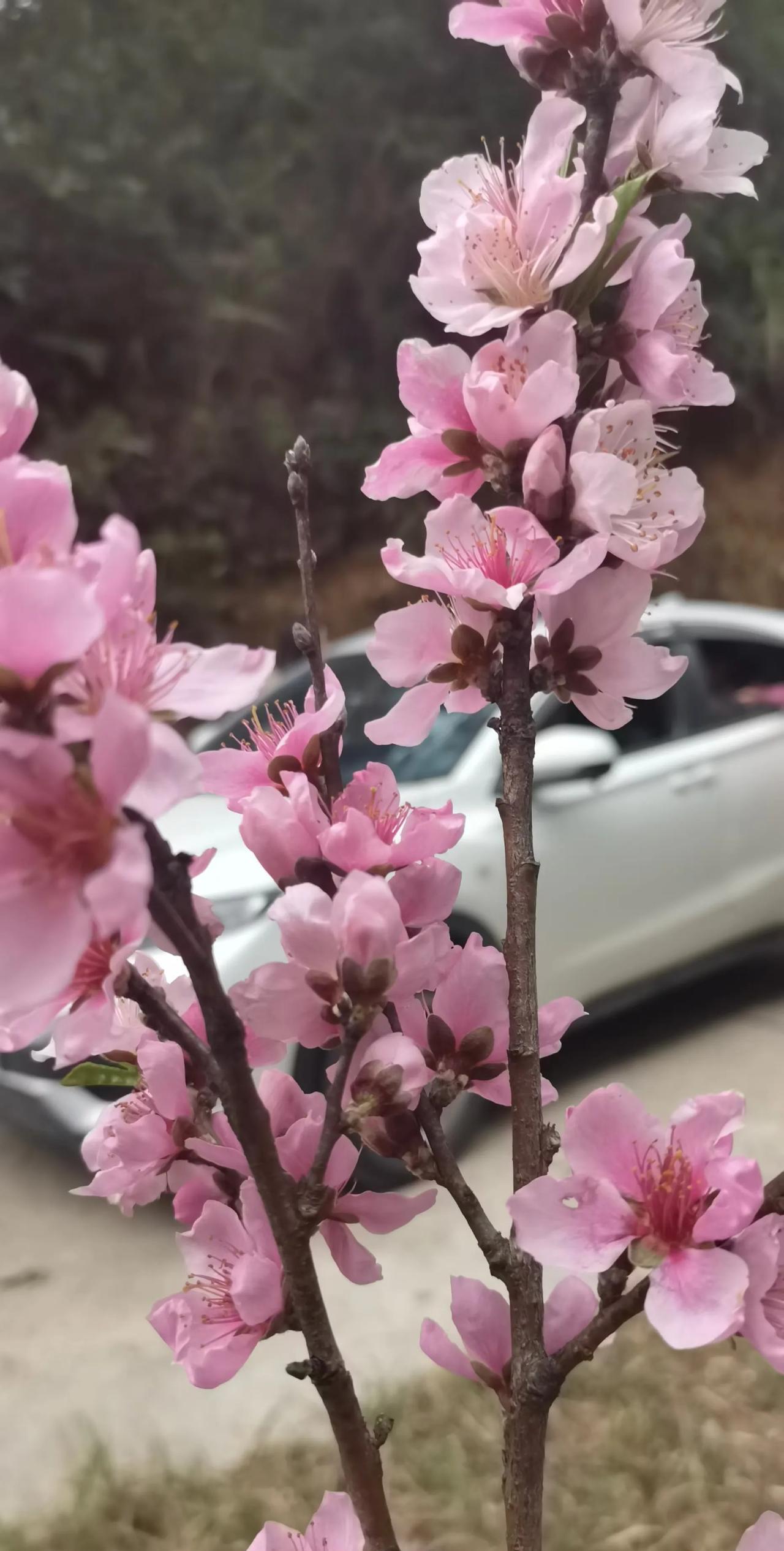 在单位，什么样的女生容易被提拔:
1，精致干练，更有机会
2，做事有思路，会办事