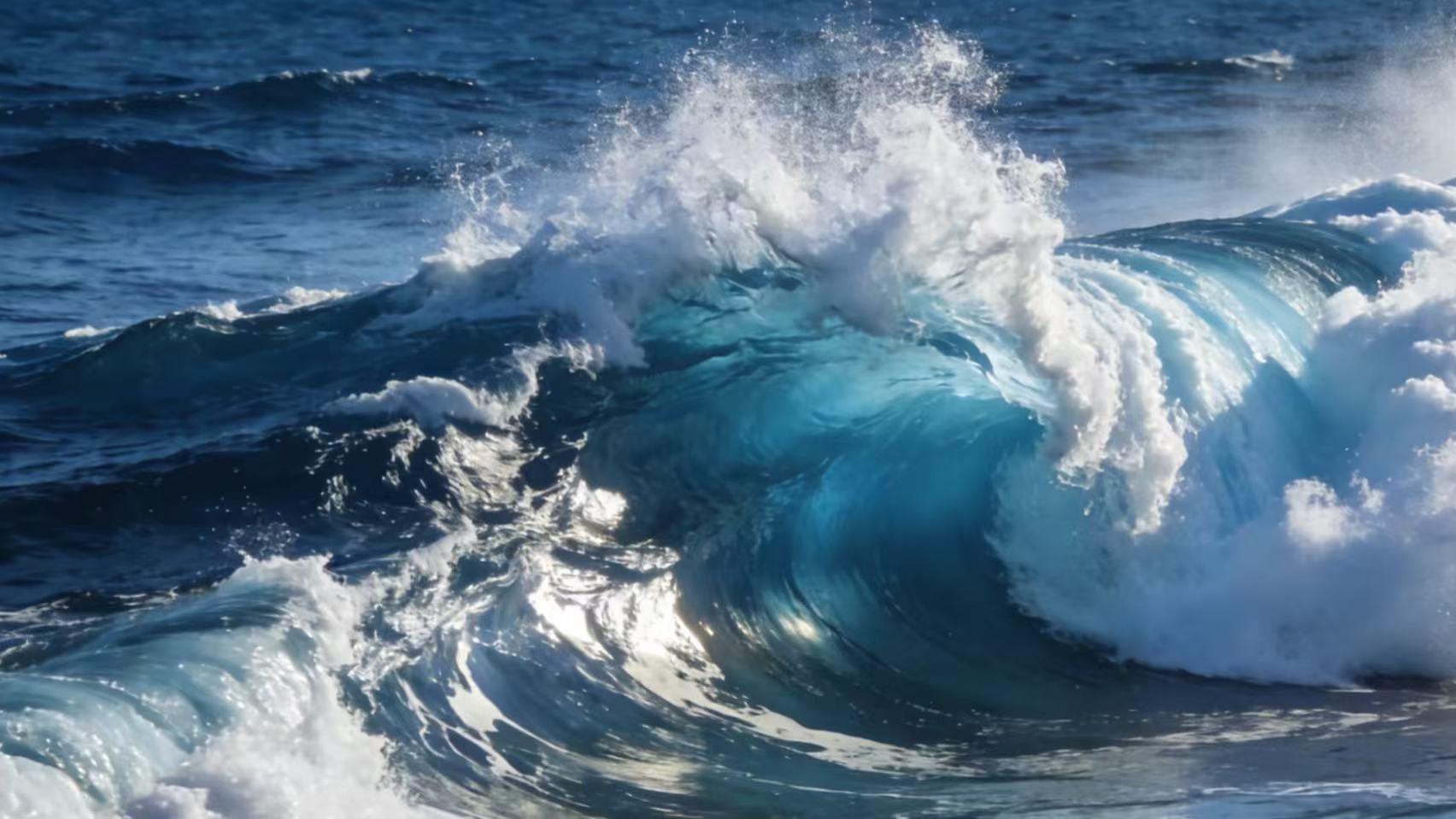 四川珙县余氏兄妹十年林权维护权益陷多重困境