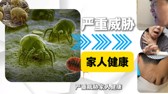 家用除螨仪是否真有用？床上除螨仪什么品牌好？高质量除螨仪十大名牌排行榜！终极测评