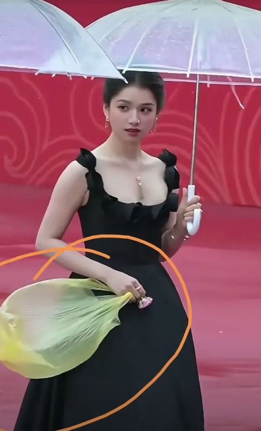 做梦都没想到，电影女神～张婧仪，参加活动竟然没拿巴黎世家或者LV的包包，只拿一个