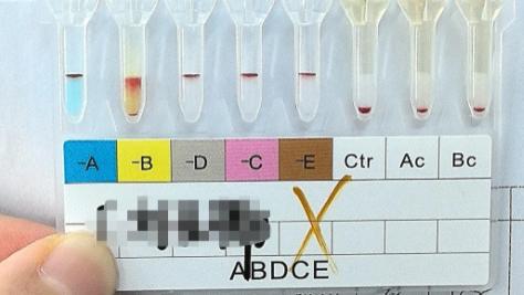 ​输血技术师备考热门刷题软件测评，拒绝无效努力，刷题即冲分