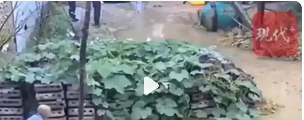 民警未扶水中老人引争议：执法温度与职责边界该如何平衡？