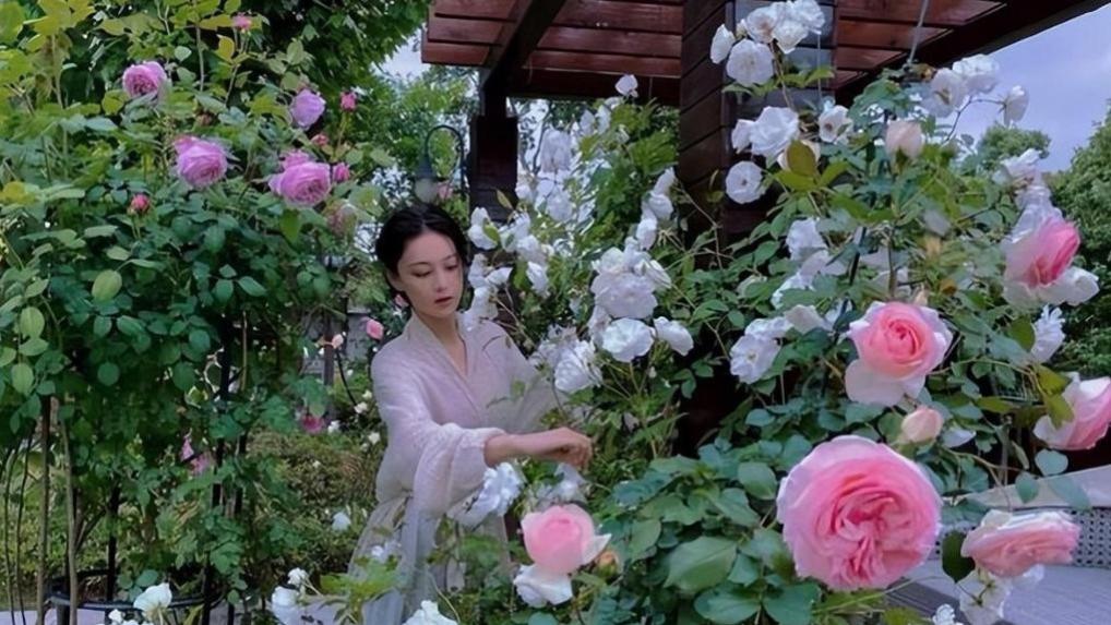 田园牧歌：张馨予的院子，藏着怎样的幸福密码？