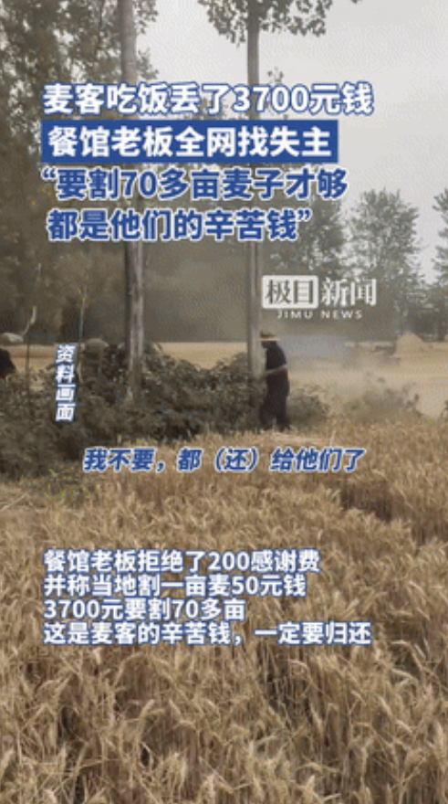 “看哭了！”驻马店，麦客吃饭遗失3700元，是割了70多亩地的血汗钱！不料，饭店