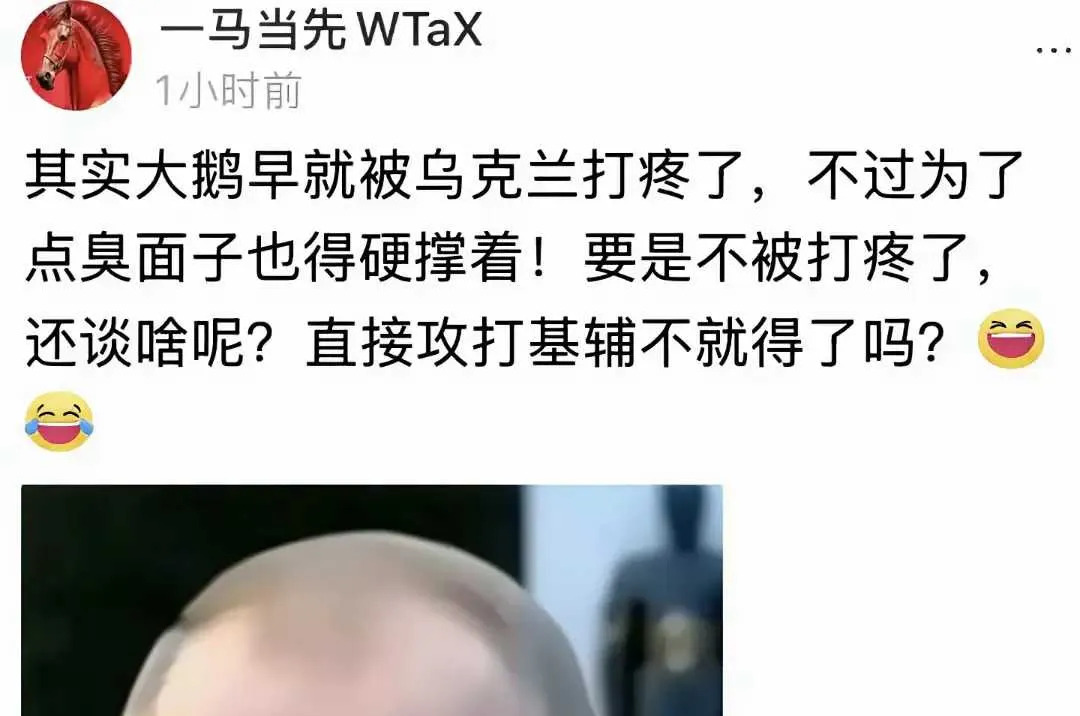 大鹅真被打疼了，这回可惨了。











大鹅这次真是吃了大亏，估计连