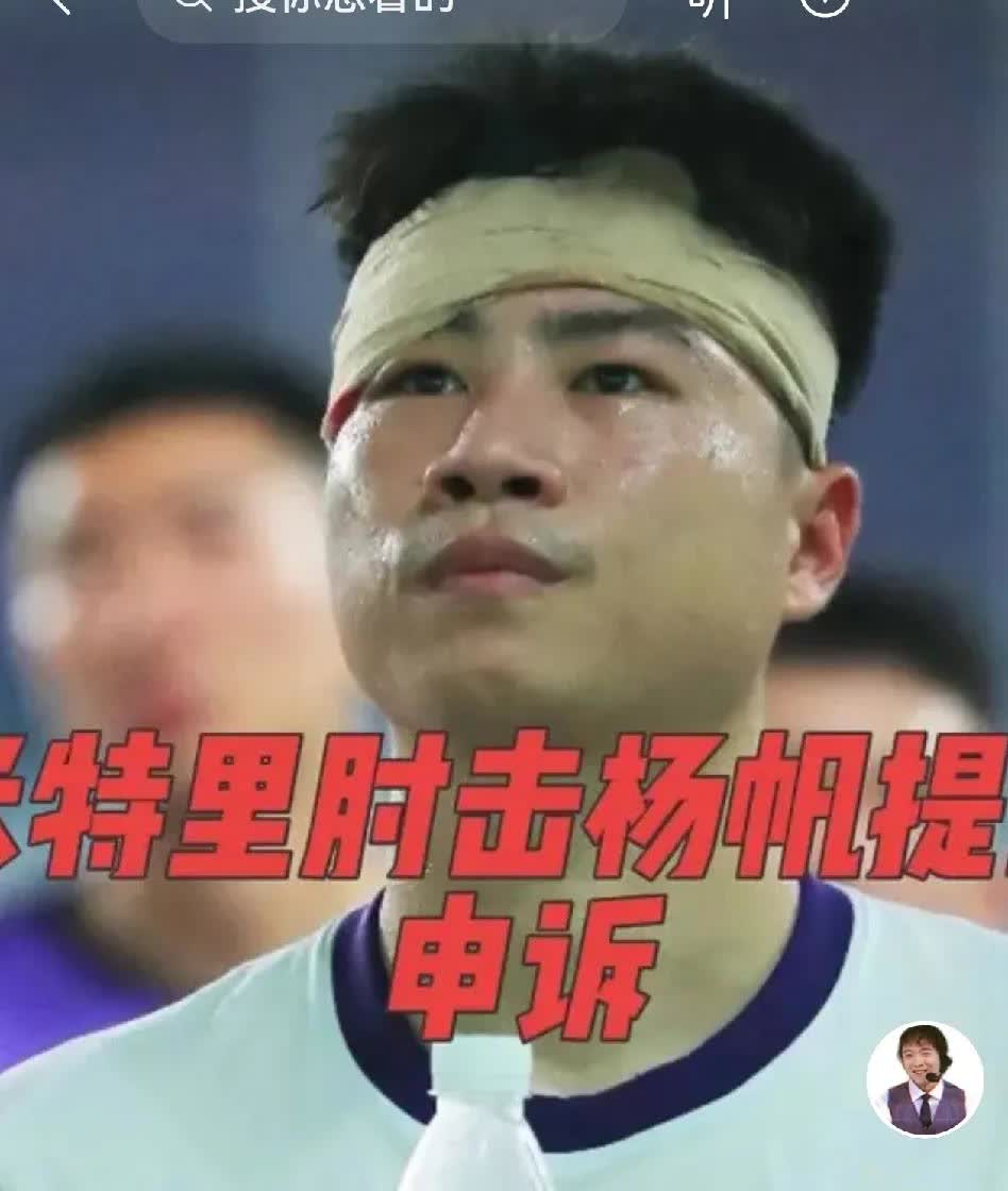 迟到的正义！只能是精神的安慰。
中超第23轮（调整）津门虎客场对阵浙江绿城，浙