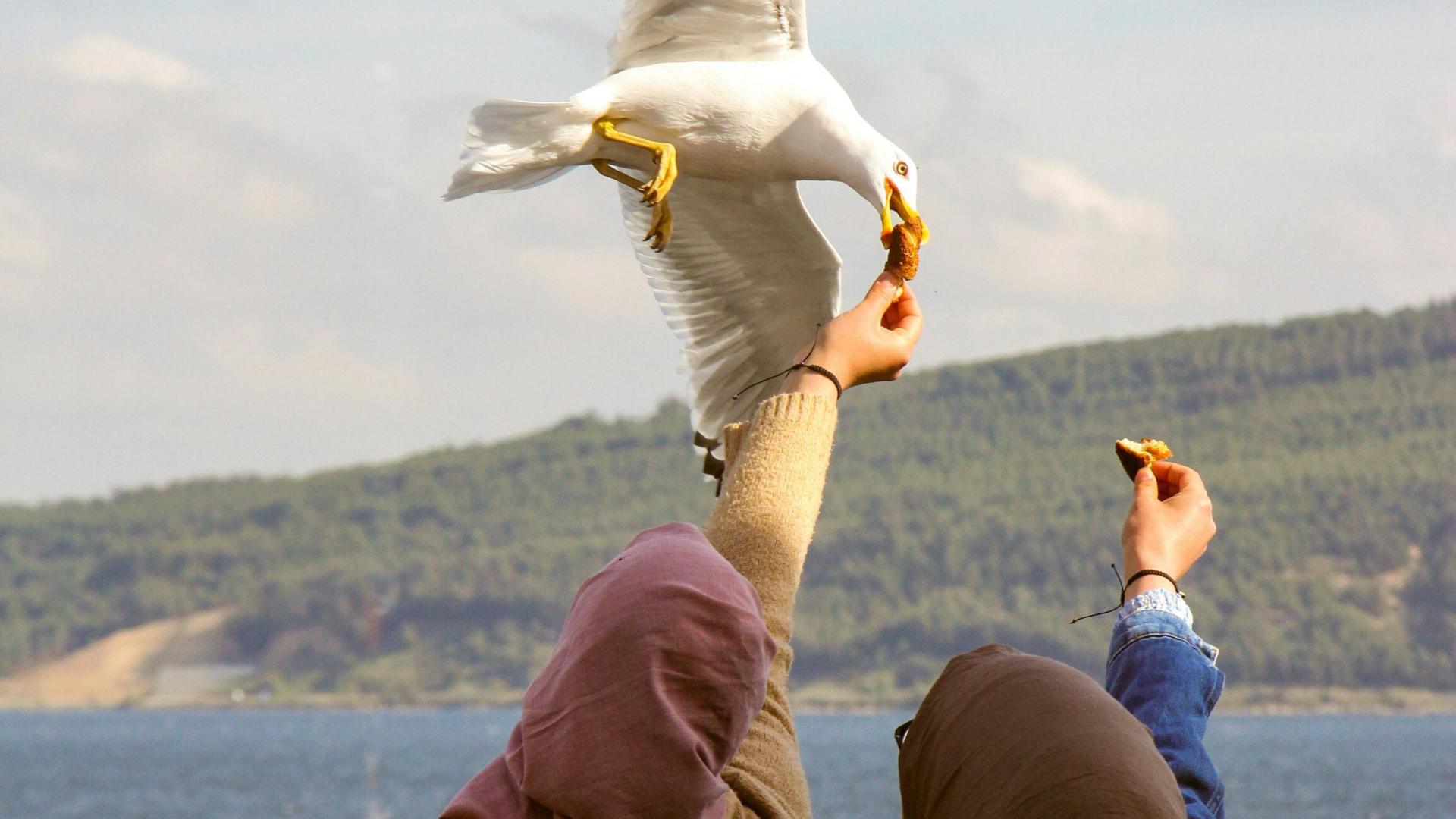 一生中做了才不会遗憾的十件事
