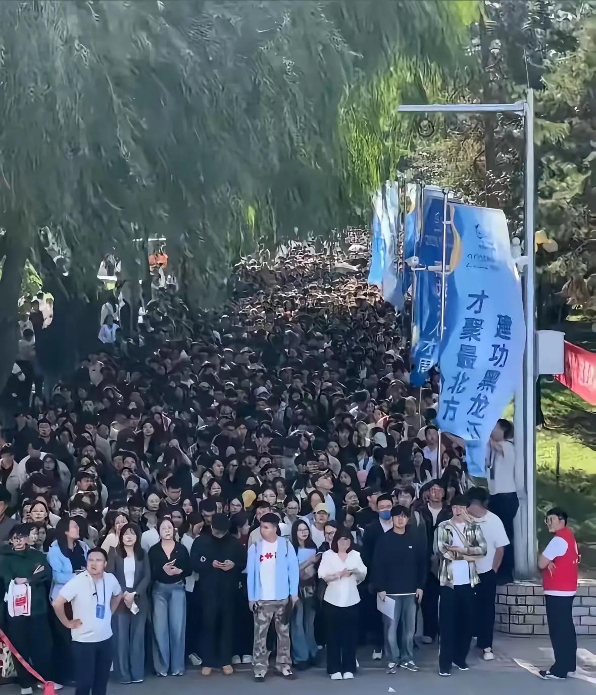 都说学历是找工作的敲门砖，但是现在遍地都是高学历，拼到最后，也就是拼爹妈
900