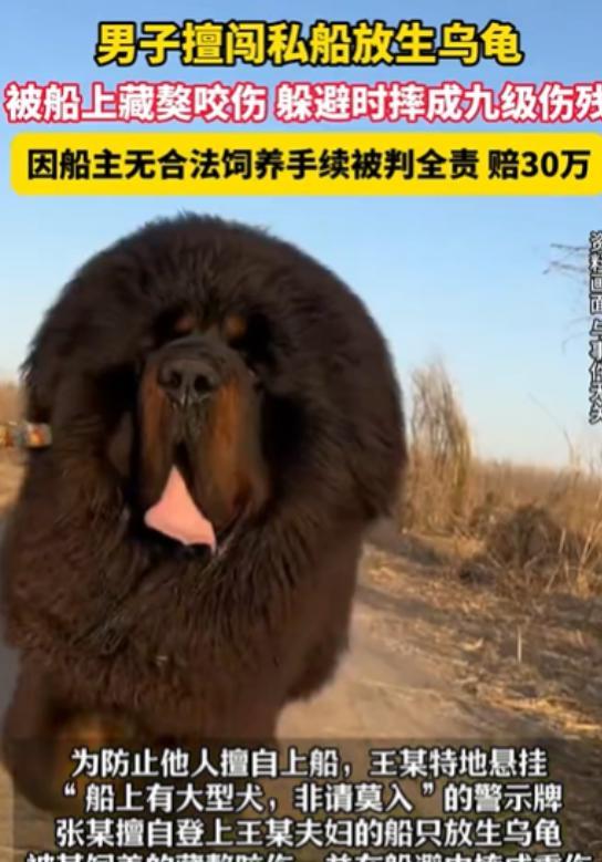 “不作死就不会死！”8月31日江苏常州，王某夫妻从事河道保洁工作，长期住在自家船