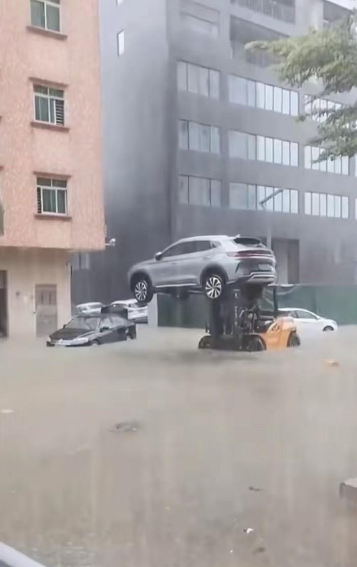 叉车：你清高 你了不起。