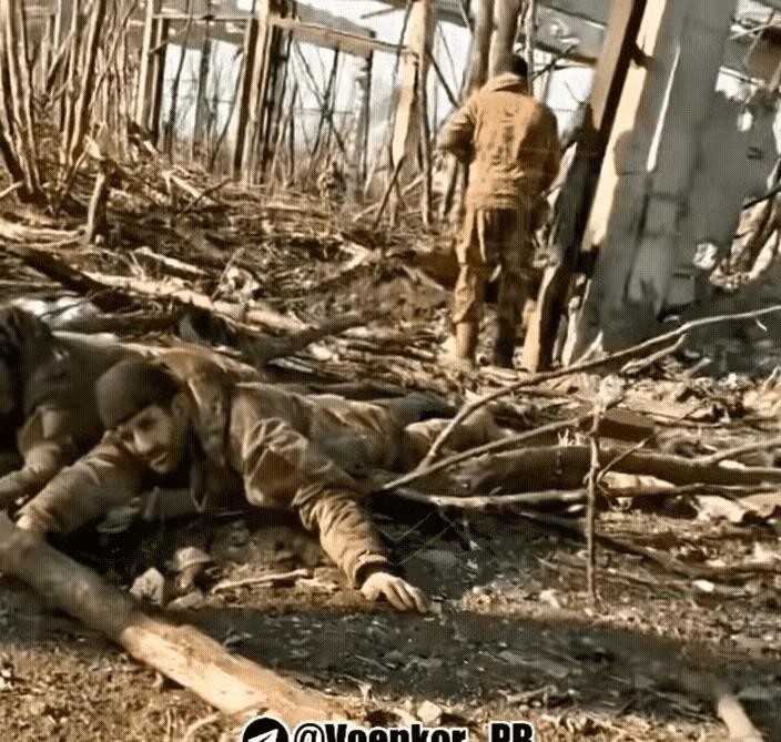 两位老兵战场收尸



人间炼狱！无人机航拍下的焦土战场，两名老兵蹒跚前行，他们