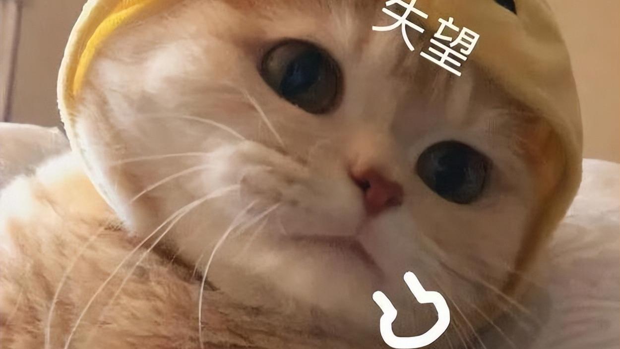 《水饺皇后》致命硬伤，熬一周才涨一千万，因《药神》编剧偷懒？
