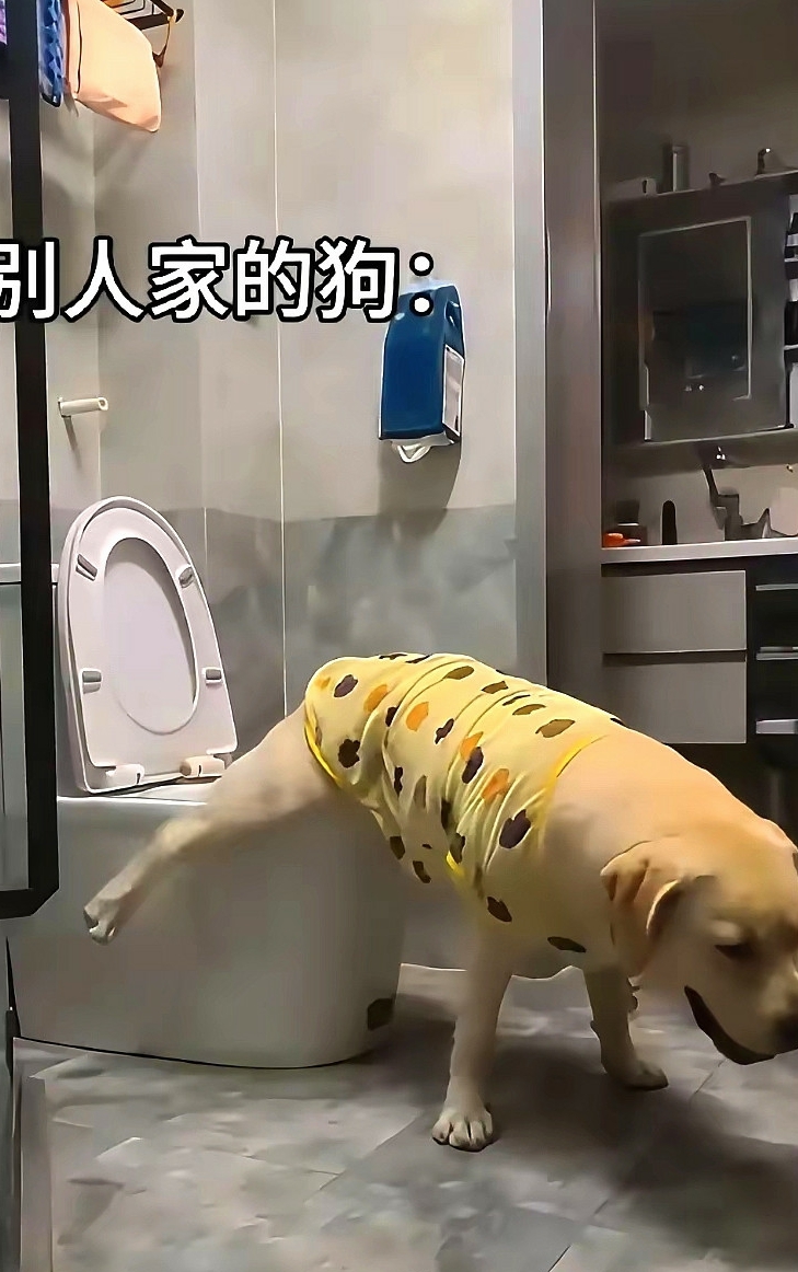 别人家的修勾vs自家的修勾