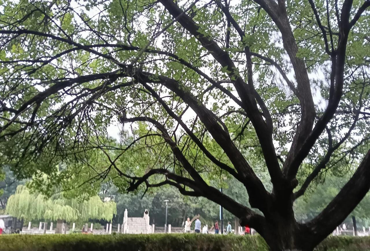 只要走出家门，随手一拍都是美景。
这就是我们这边秋天里公园的景色。
#随手拍张照