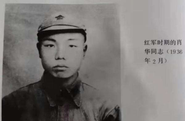 1938年，由于特务告密，鬼子包围了大常村。情急之下，常大娘把肖华司令藏进了枣堆