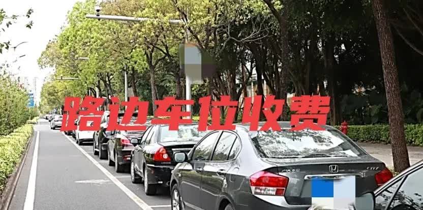 马路边上公共停车位收费合法吗？如果合法，为什么又说发生剐蹭与收费单位无关，他们不