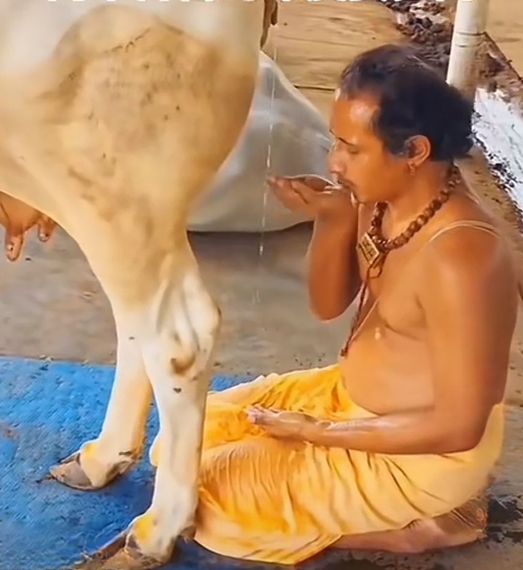 都21世纪了，印度人对牛的崇拜还如此执着，这样愚昧且未开智的国家，有人还说不要小