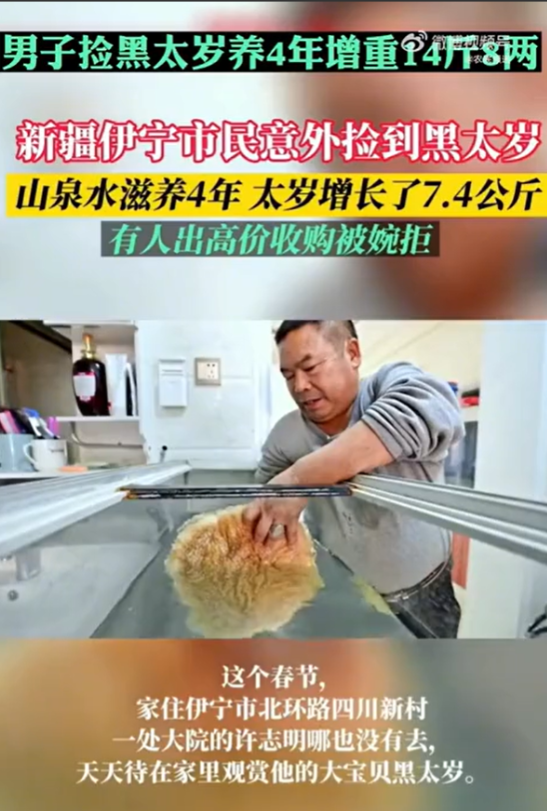 2018年，新疆一男子捡到一块重6.55公斤的“黑太岁”，有人出价85万元收购，
