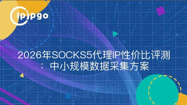2026年SOCKS5代理IP性价比评测：中小规模数据采集方案