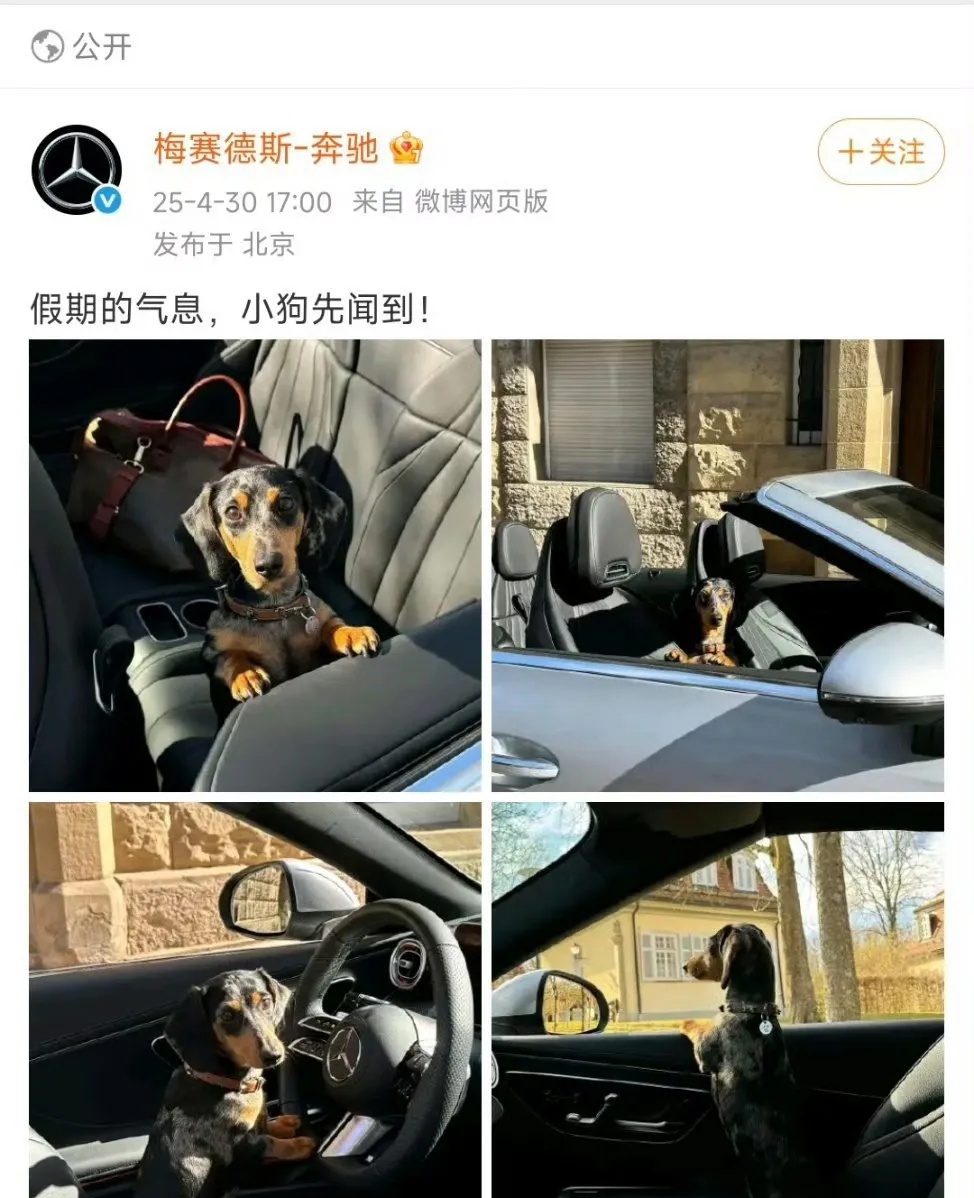 奔驰自从被某企业盯上后，很喜欢用狗做宣传