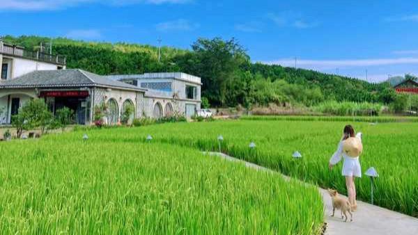 广州30岁211女大学生，考上老家梅州县直事业编，要回去报到吗？