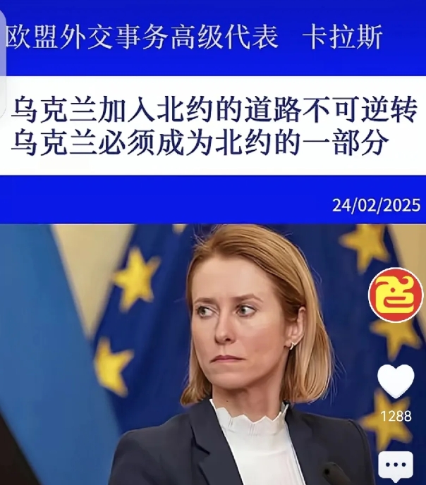 都这个时候了，欧盟外交事务高级代表卡拉斯的表态依然斩钉截铁，这就是乌克兰必须加入