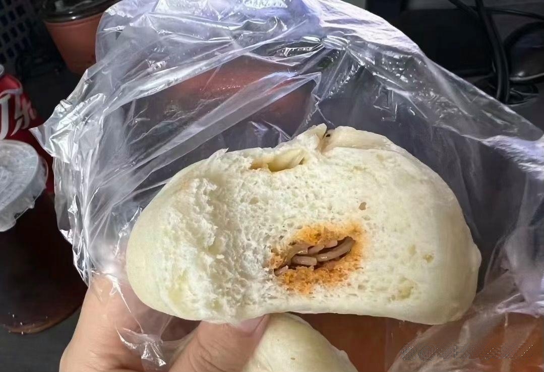 你跟我说这是有陷的包子？