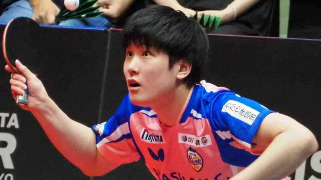 张本智和赢球“泄愤”？才在中国爆冷输球，回日本连轰2个3-0