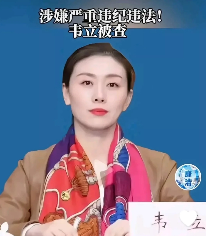 长的真美，也不耽误腐败！真恶心
