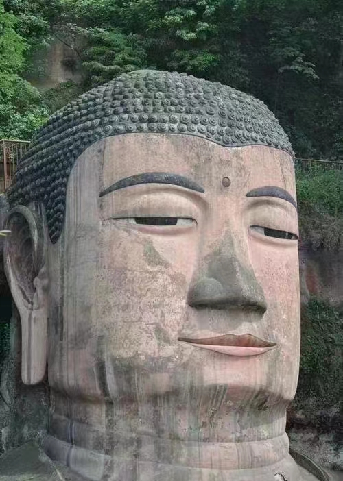 ModelY缓行模式这个细节一定要注意
习惯用缓行模式的车友，
一定要注意这个细