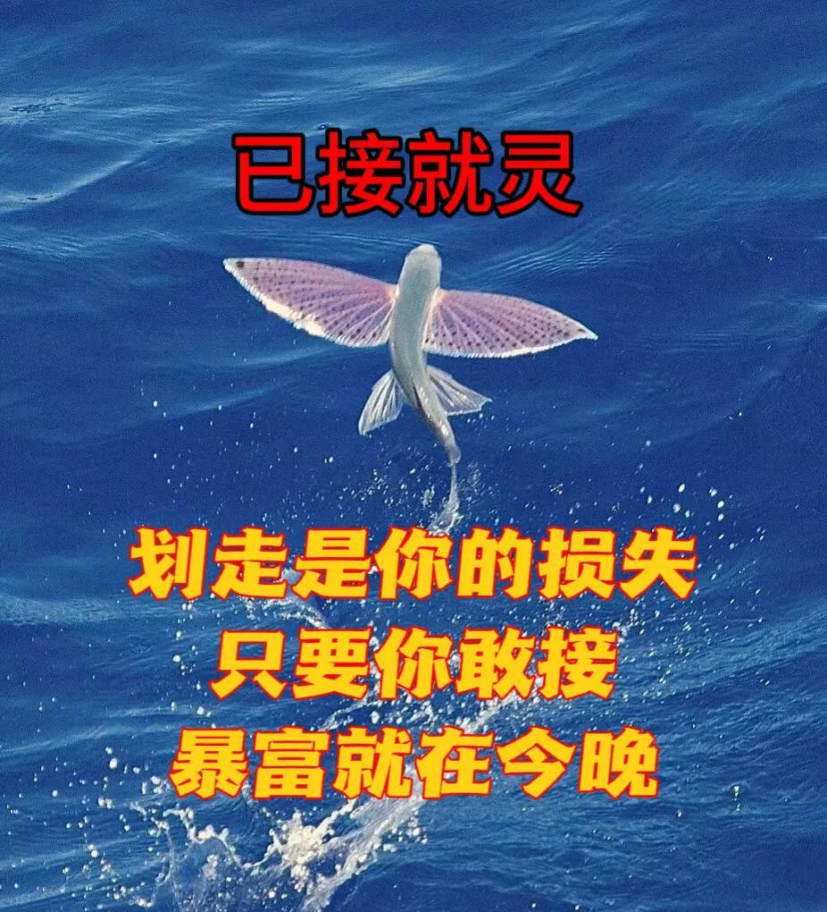 划走你会后悔！
海啸级暴富已来袭
财运如同洪浪卷，横财恰似流星落。
不仅能得千万